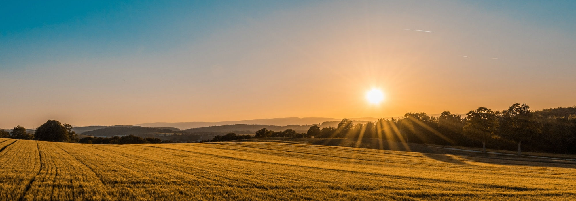 federico-respini-sYffw0LNr7s-unsplash